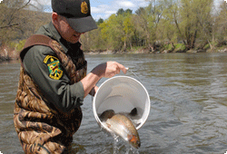 Fish Stocking | Vermont Fish & Wildlife Department